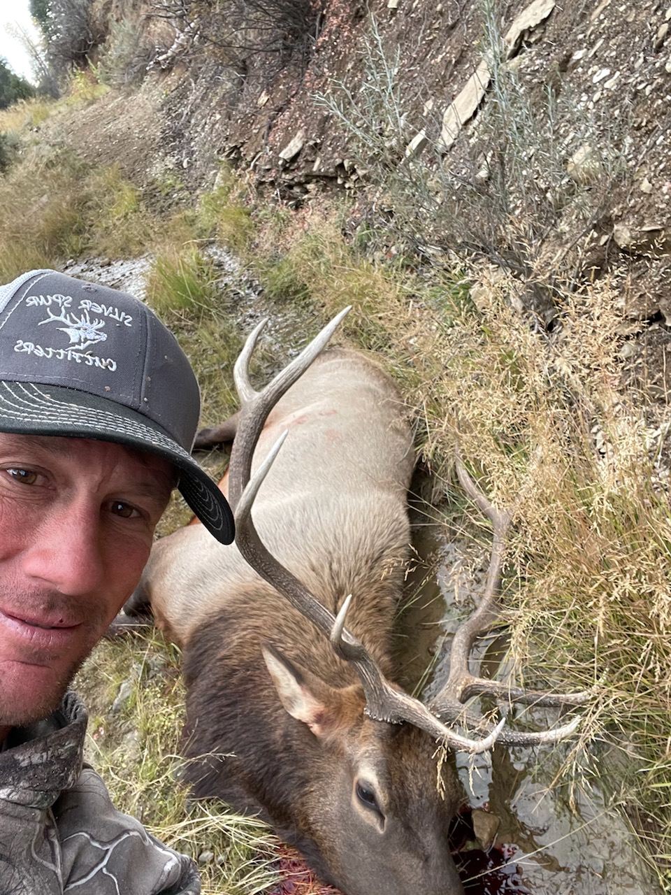 Elk Hunts Silver Spur Outfitters